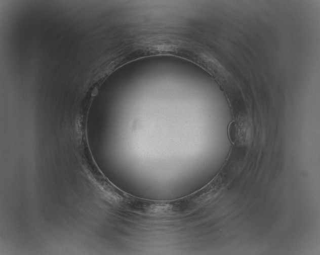 X0000073900410200608251502