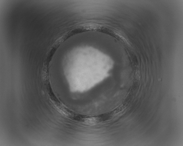 X0000073900411200608251502