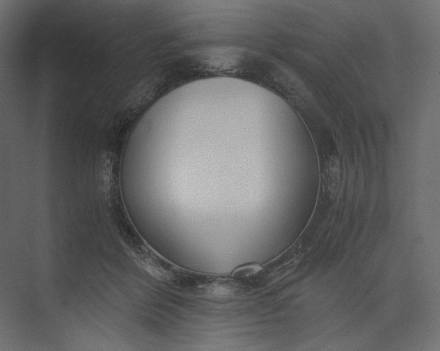 X0000073900412200608251502