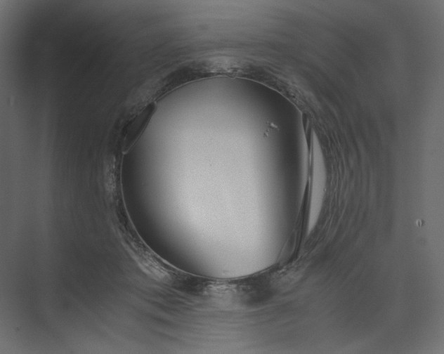 X0000073900413200608251502