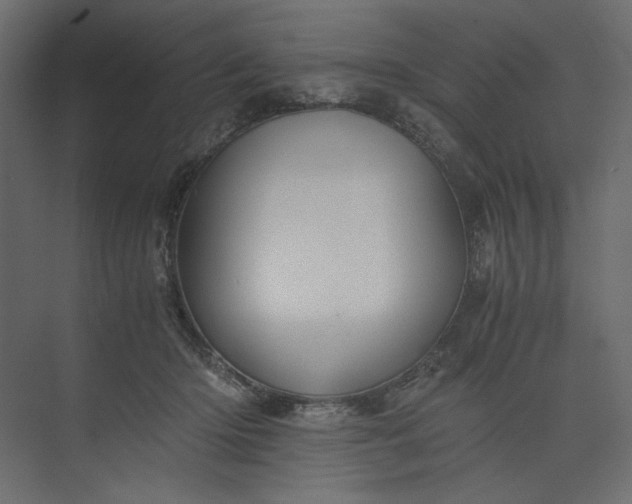 X0000073900414200608251502