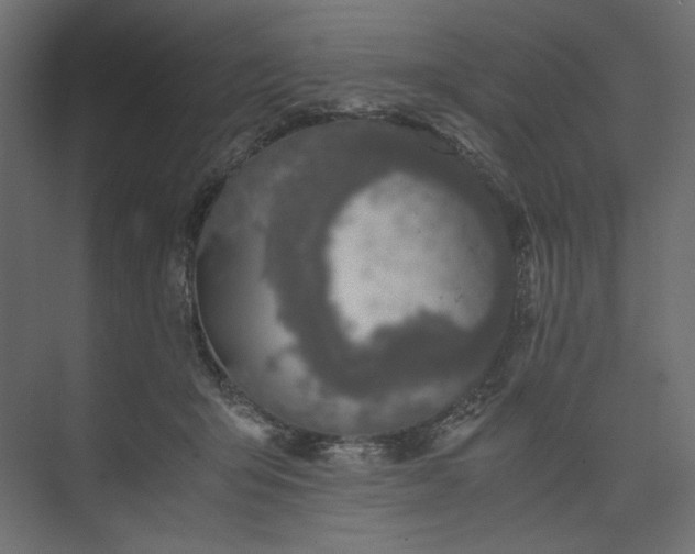 X0000073900415200608251502