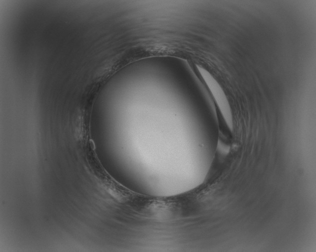 X0000073900416200608251502