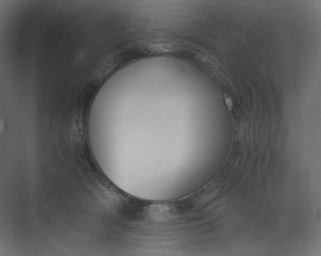 X0000073900418200608251502