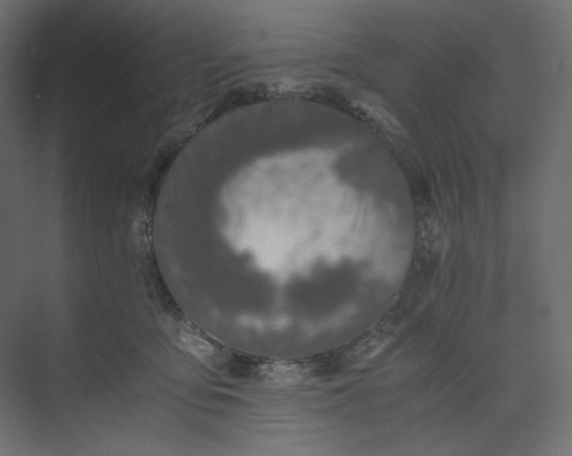 X0000073900419200608251502