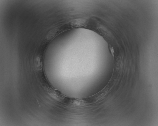 X0000073900420200608251502