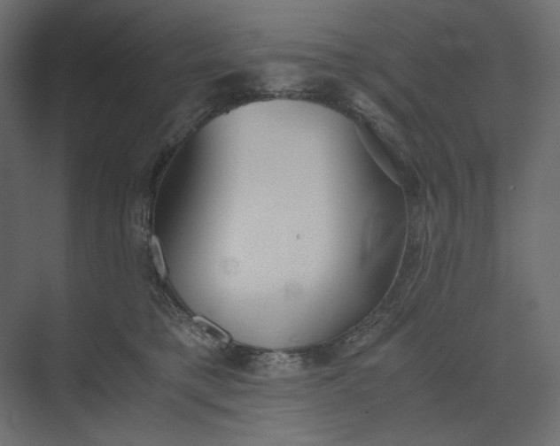 X0000073900421200608251502