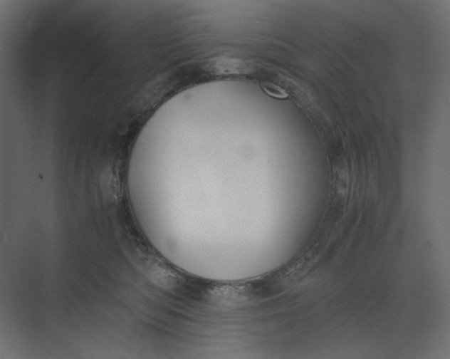 X0000073900422200608251502