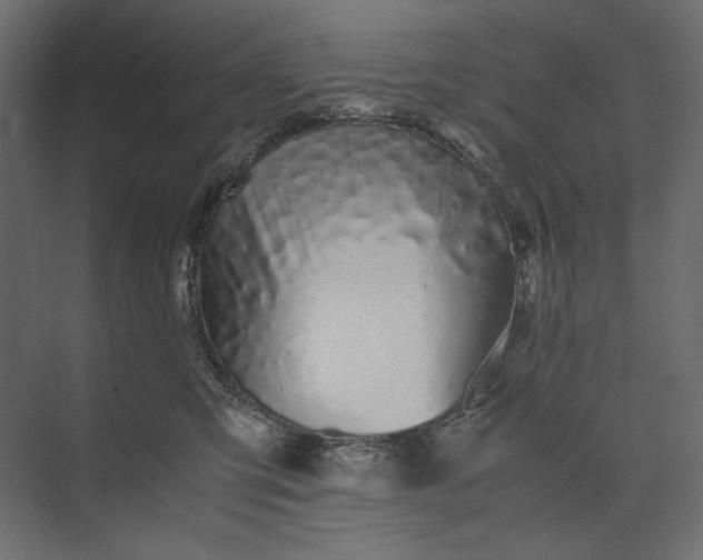 X0000073900423200608251502