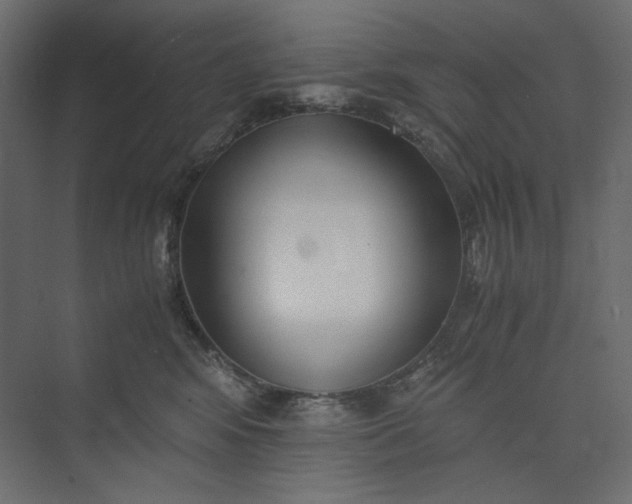 X0000073900424200608251502