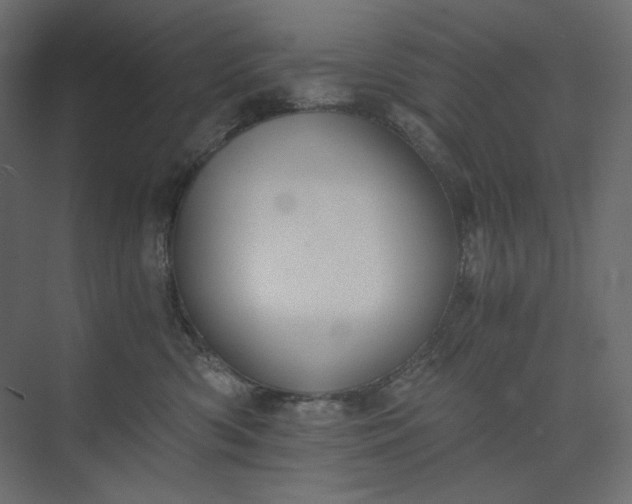 X0000073900426200608251502