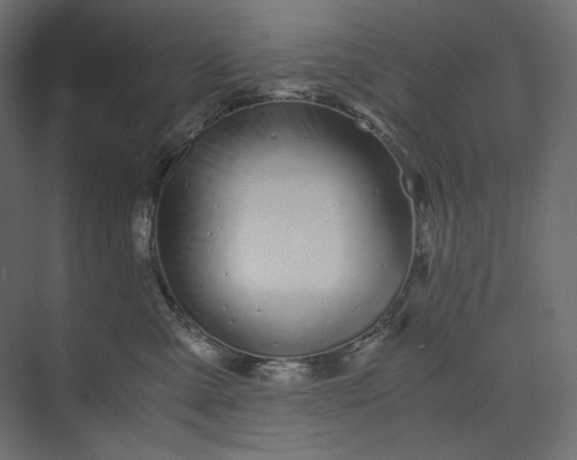 X0000073900427200608251502