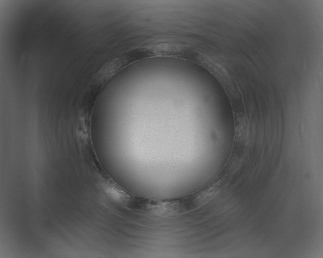 X0000073900430200608251502