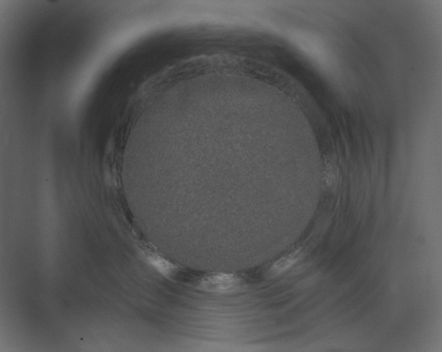 X0000073900431200608251502