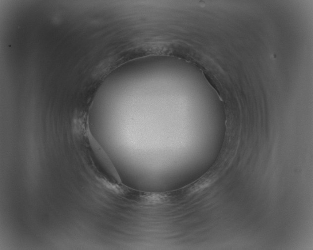 X0000073900432200608251502