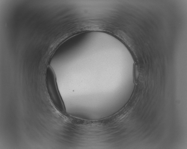 X0000073900433200608251501