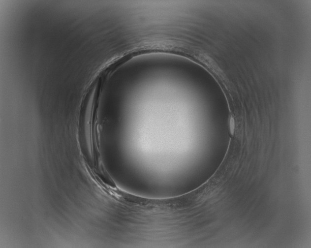 X0000073900434200608251501