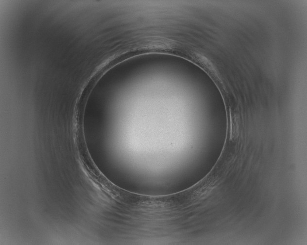 X0000073900435200608251501