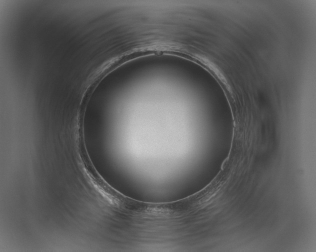 X0000073900437200608251501