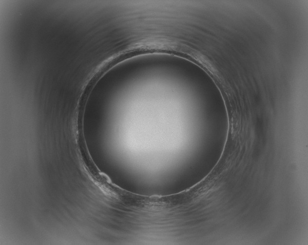 X0000073900438200608251501