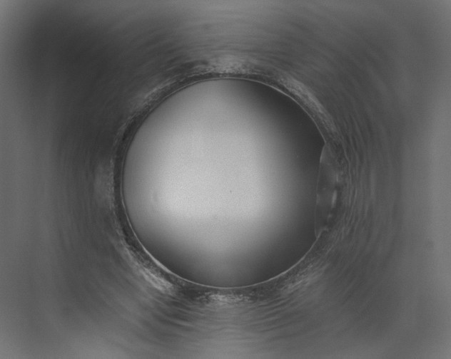 X0000073900442200608251501