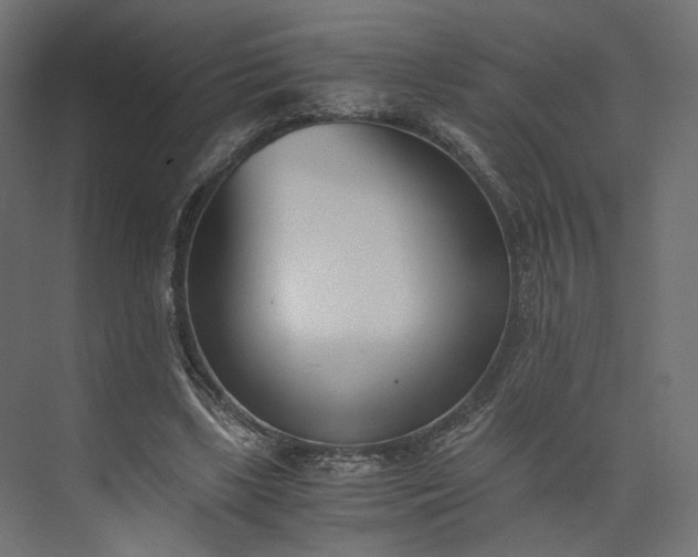 X0000073900443200608251501