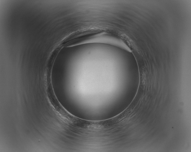 X0000073900444200608251501