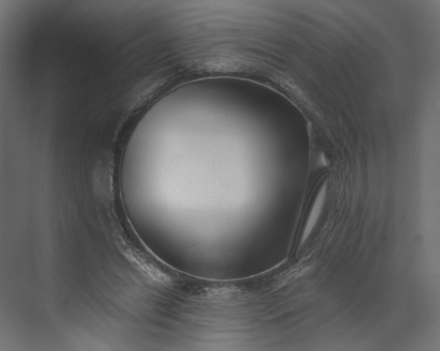 X0000073900446200608251501