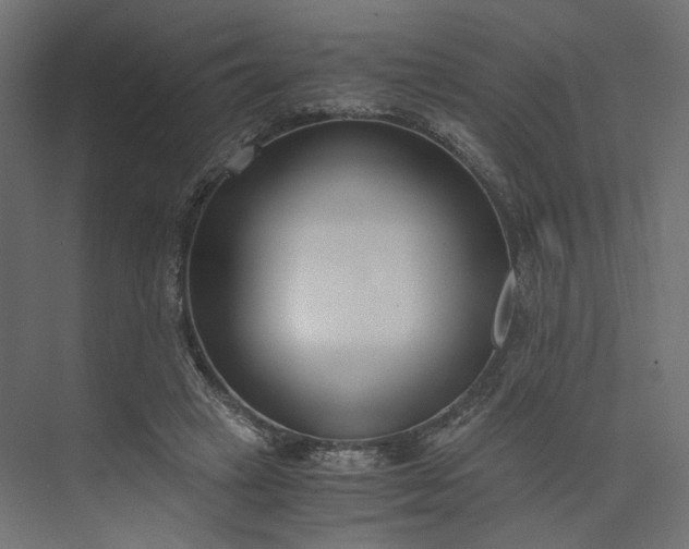 X0000073900449200608251501