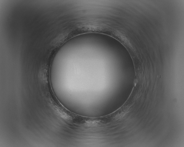 X0000073900450200608251501