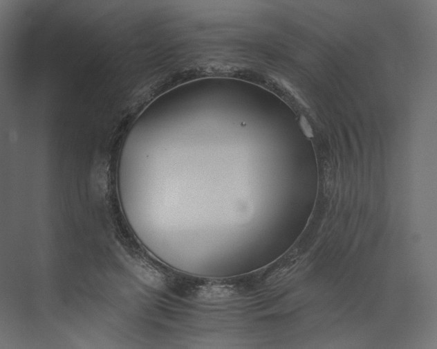 X0000073900451200608251501