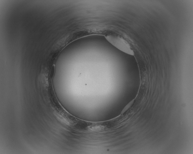 X0000073900452200608251501