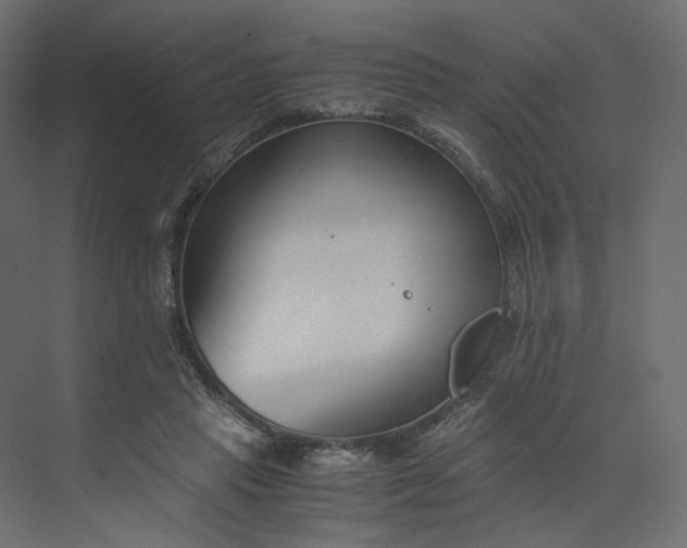 X0000073900453200608251501