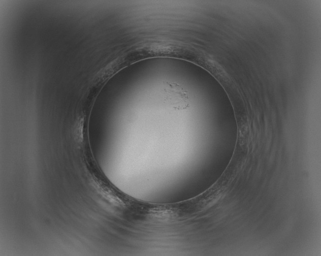 X0000073900454200608251501