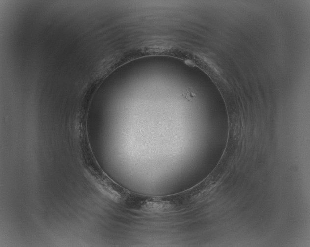 X0000073900455200608251501