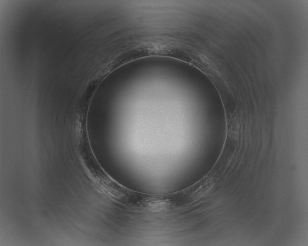 X0000073900456200608251501