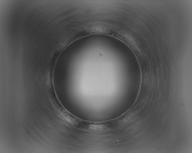 X0000073900457200608251502