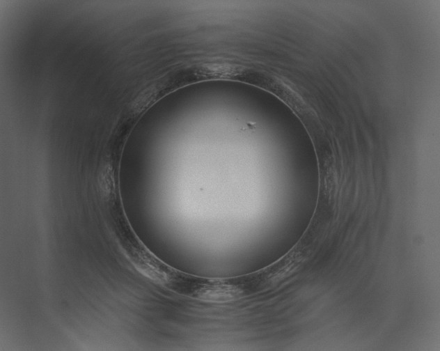 X0000073900459200608251502