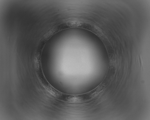 X0000073900460200608251502