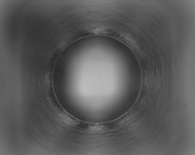 X0000073900461200608251502