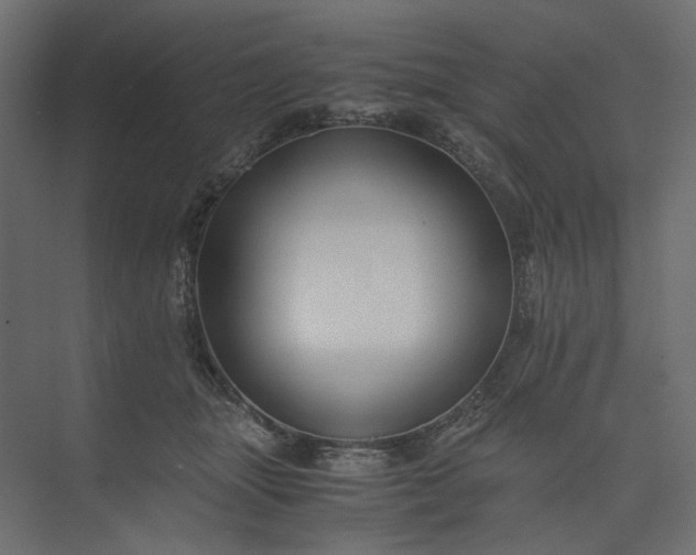 X0000073900463200608251502