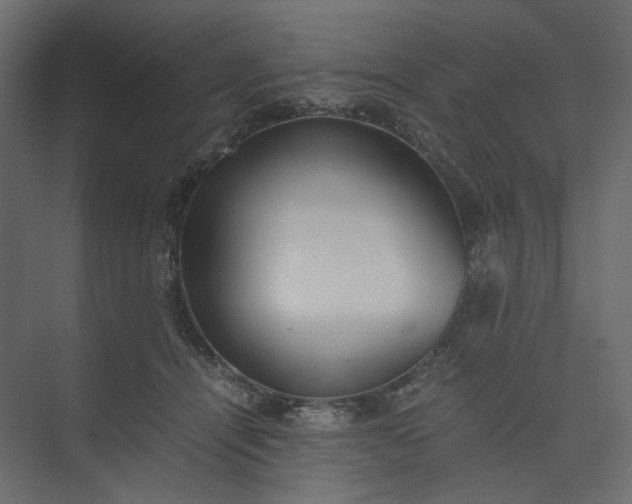 X0000073900464200608251502