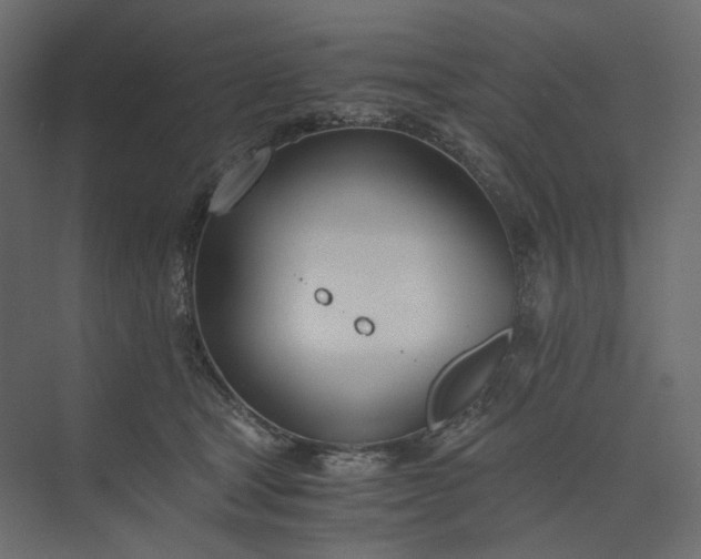 X0000073900465200608251502