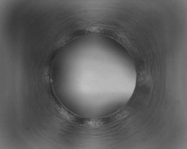 X0000073900466200608251502