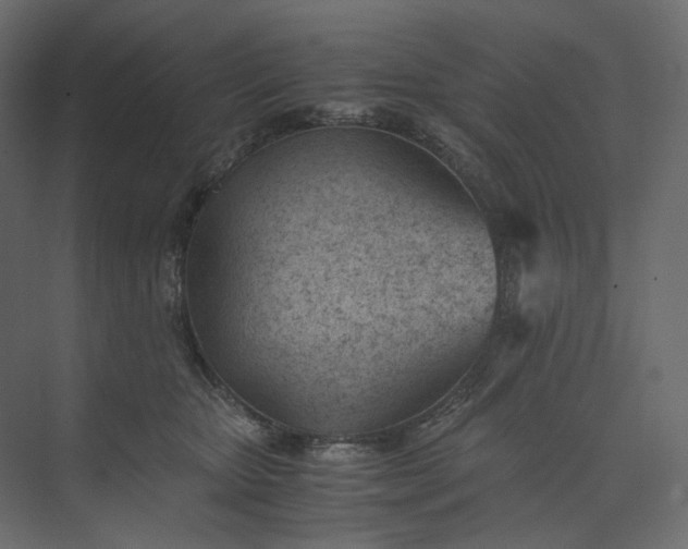 X0000073900467200608251502