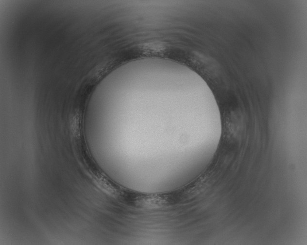 X0000073900468200608251502