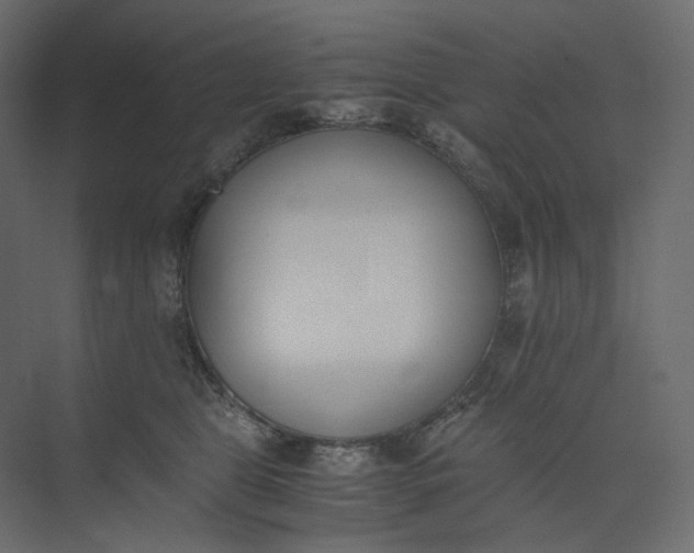 X0000073900469200608251502