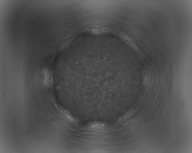 X0000073900471200608251502