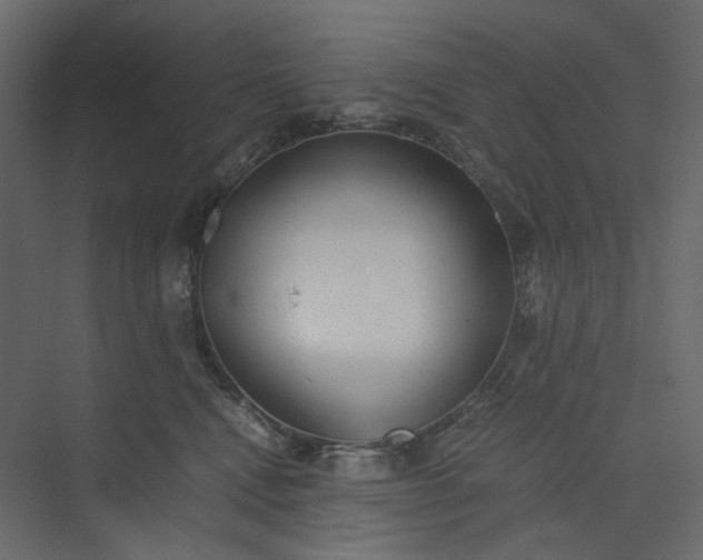 X0000073900472200608251502