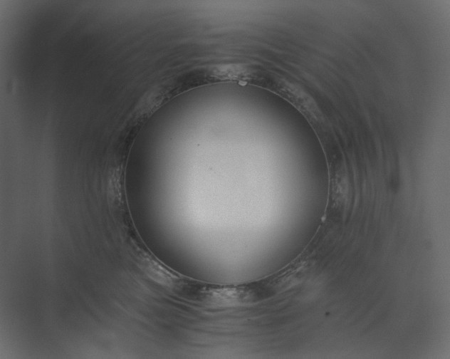 X0000073900473200608251502